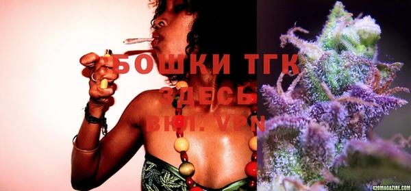первитин Осинники