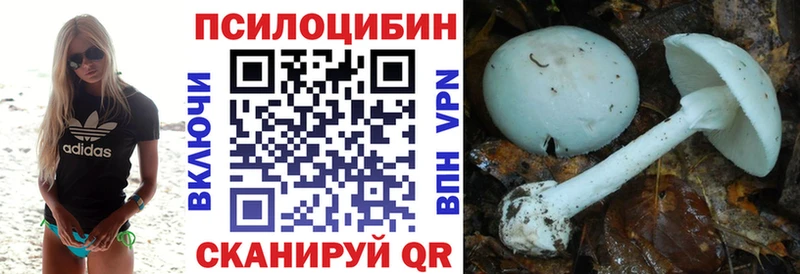 Галлюциногенные грибы Cubensis  цены наркотик  Карачаевск 